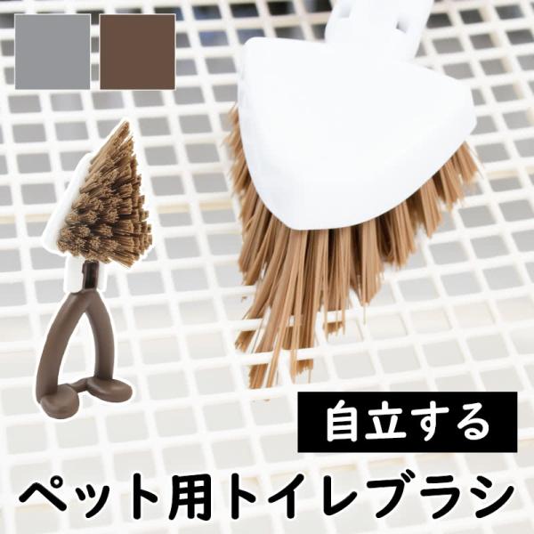 ybgp gC􂢃uV |pi ybg gC| p Lp S PallyPallyPET p[p[ |ObY gC ֗ ̃gCp  uV