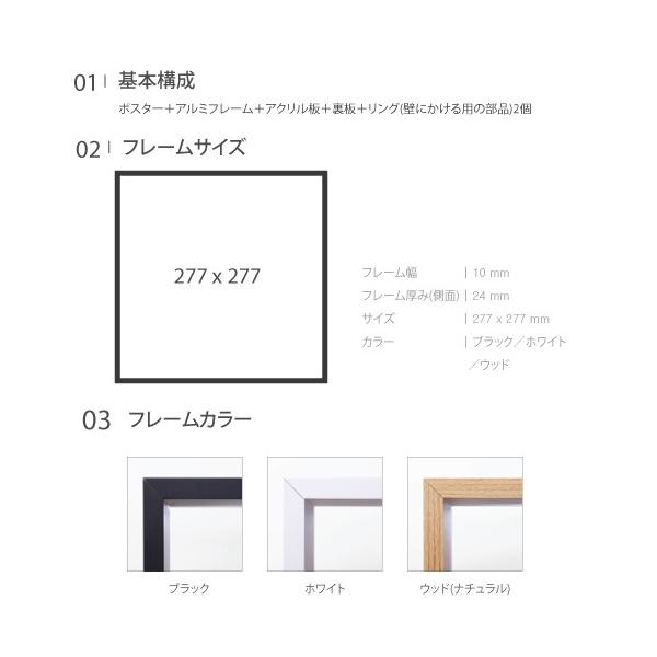 １万円以上購入で送料無料 おしゃれなデザインポスター アートポスター インテリア用 おしゃれ ポスター Poster フレーム付 モダンアート 北欧 モノトーン アルミアートフレーム 花ポスター 277 277 代購幫