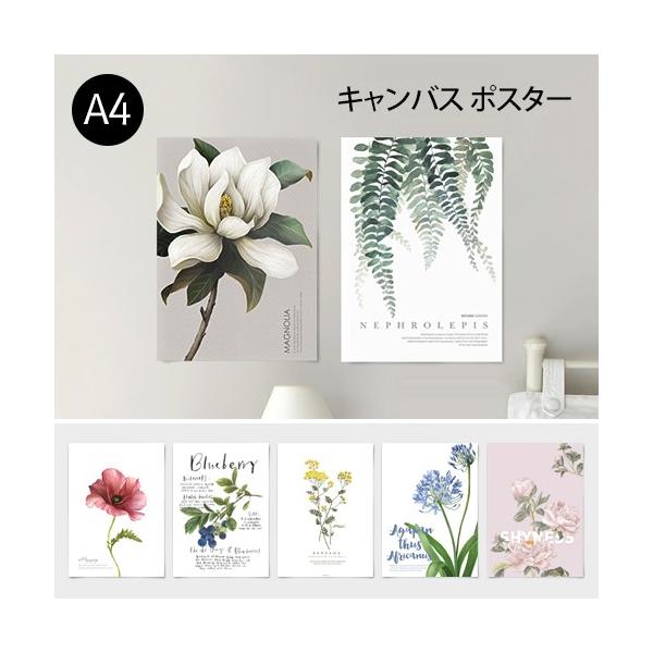 ポスター キャンバス素材 ボタニカルコレクションvo 2 花 植物 シンプル おしゃれ アートポスター アートプリント フォトポスター サンサンフー Dejapan เสนอราคาและซ อญ ป นท ม ค านายหน า 0
