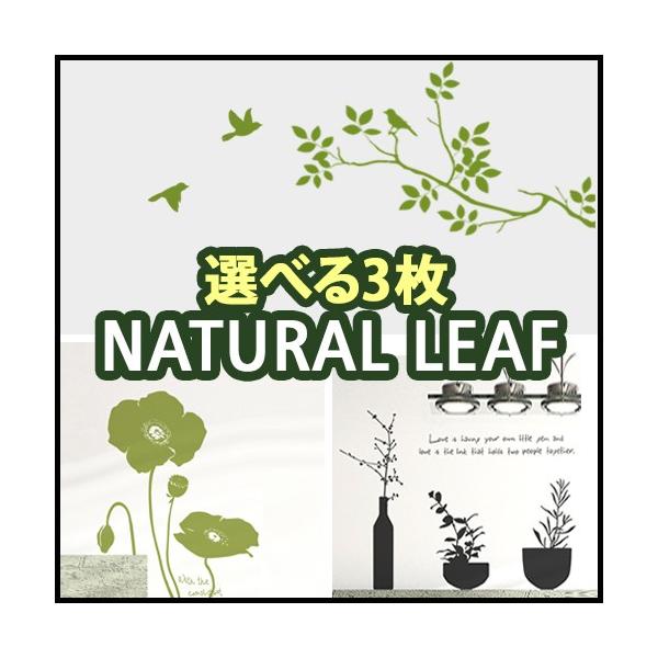 ウォールステッカー おしゃれ 高級感 窓 モノクロ おしゃれ カフェ 壁紙シール ウォールシール ランキング 3枚選べるセットナチュラルスタイルステッカー Buyee Buyee 日本の通販商品 オークションの代理入札 代理購入