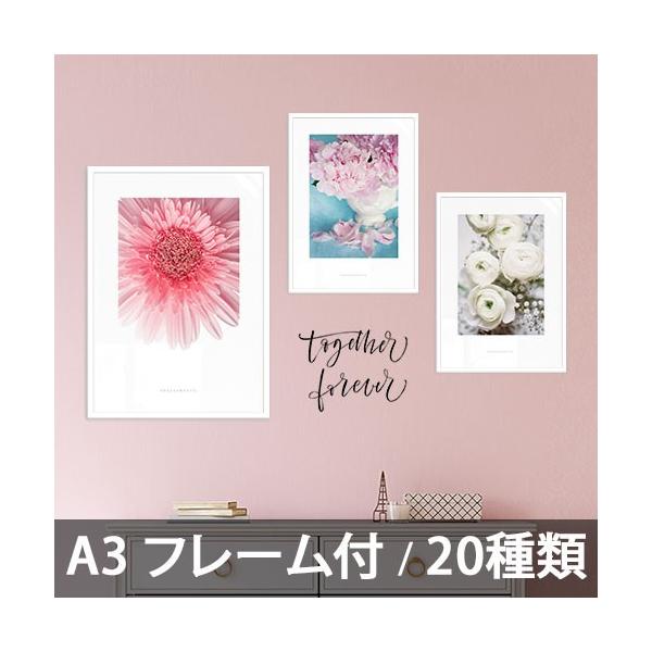 ポスター インテリア アートポスター A3 お花 植物 おしゃれ フォトポスター サンサンフー フラワーコレクション A3 フレーム付 Buyee Buyee Japanese Proxy Service Buy From Japan Bot Online