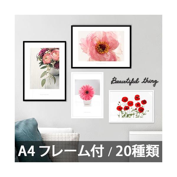 ポスター インテリア アートポスター お花 植物 おしゃれ フォトポスター サンサンフー フラワーコレクション フレーム付 Pfs1a4 インテリア生活雑貨のサンサンフー 通販 Yahoo ショッピング