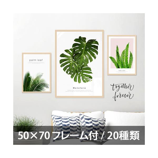 ポスター インテリア アートポスター 植物 おしゃれ フォトポスター サンサンフー リーフコレクション 50 70 フレーム付 Buyee Buyee Japanese Proxy Service Buy From Japan Bot Online