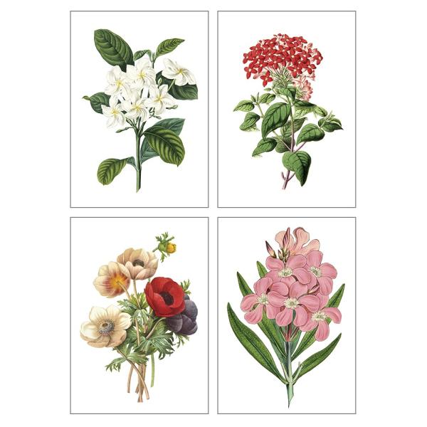 ポスター インテリア A3 ボタニカル 植物 おしゃれ アートポスター アートプリント アートフレーム ボタニカル 選べる12種類 29 7x42cm フレームなし Buyee Buyee Japanese Proxy Service Buy From Japan Bot Online