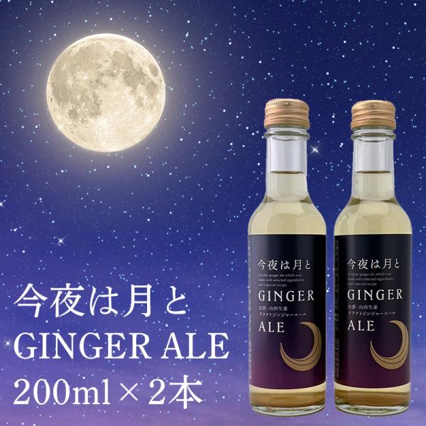 GINGER ALE（ジンジャーエール） 瓶 出西生姜 「今夜は月とジンジャー