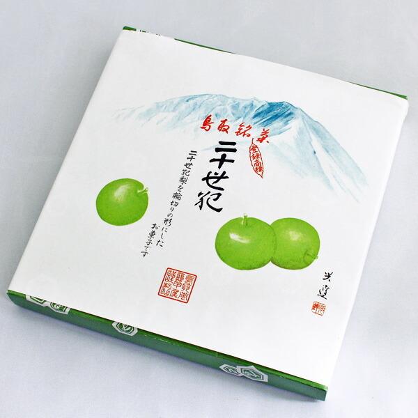 \I 24 Tb  [[ K戵X aَq [J[ Tb \I