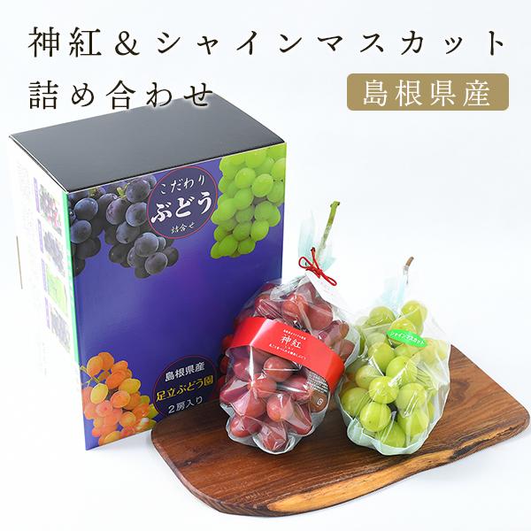 saku    シャイン＆越冬さぬき紅 大東高麗参】紅参ザクロゼリー（20g x10包） | 健康食品,その他