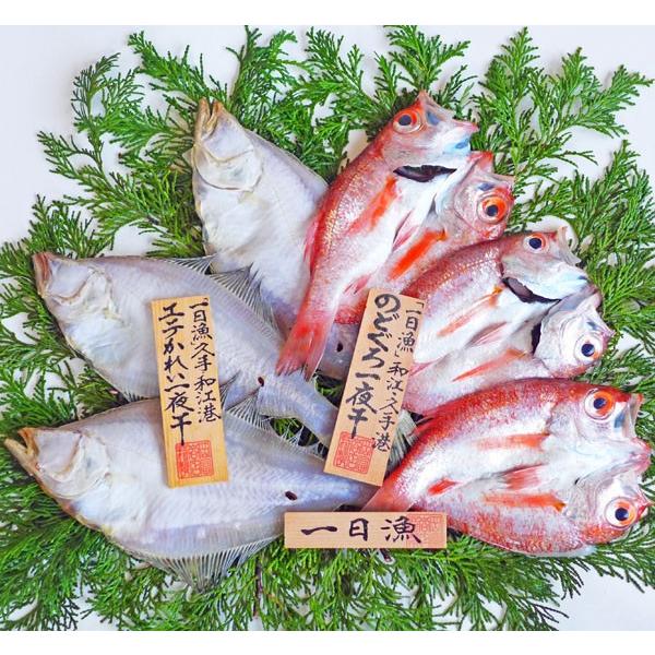   ̂ǂEꂢ銱iⓀցjxX