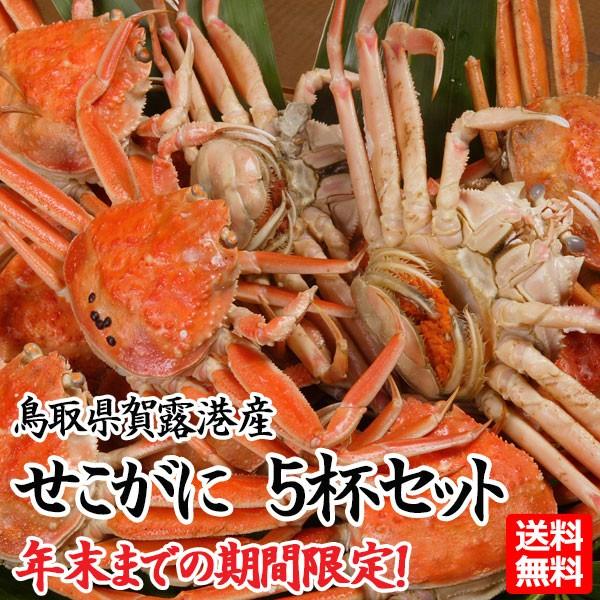 Kj 挧I`Y 5tZbg tKj YCKj eKj {C   