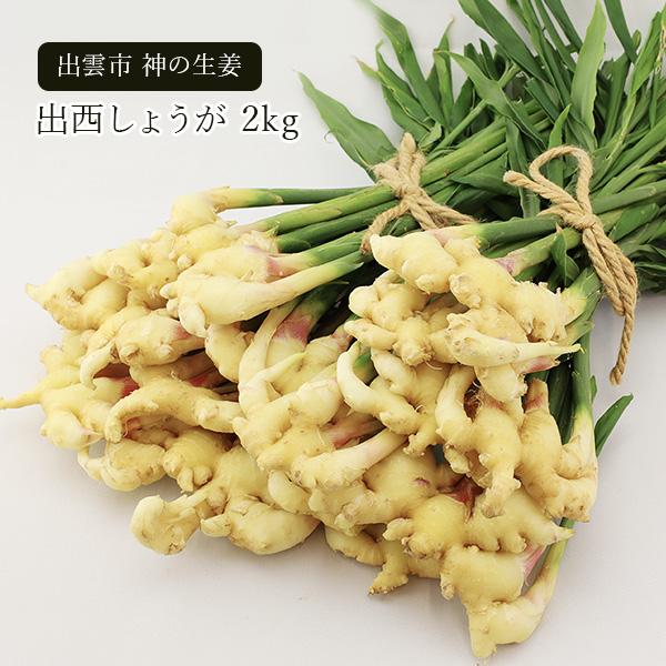 8月出荷予定 生姜 出西しょうが 2kg（期間限定 クール冷蔵便 ）出西生姜 出西しょうが生産協議会 たぐちファーム