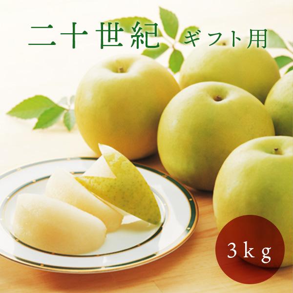 岡垣農園 鳥取県産 二十世紀梨 3kg （9〜10玉） ギフト