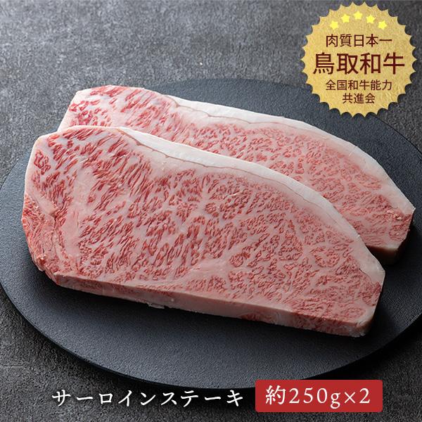 やまのおかげ屋 鳥取和牛 サーロインステーキ 約250g×2枚 冷凍便 ギフト