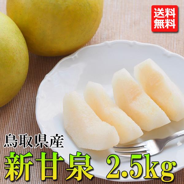 梨 予約 鳥取県産 梨 新甘泉 2.5kg（5個〜8個）しんかんせん ギフト たに