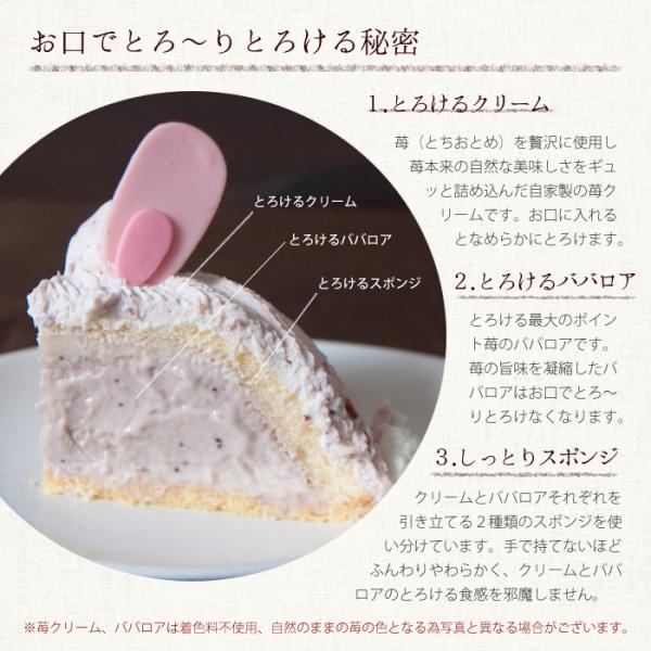 バースデーケーキ キャラクター 誕生日ケーキ うさぎちゃんのケーキ 立体 キャラクターデコレーション Buyee 日本代购平台 产品购物网站大全 Buyee一站式代购 Bot Online