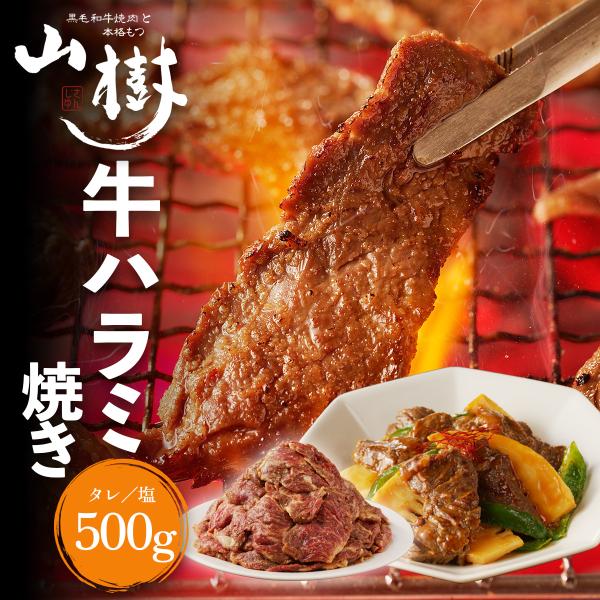 牛ハラミ 500g アメリカ産 味付 たれ 塩 焼肉用 送料無料 焼くだけ ビーフ BBQ バーベキュー 冷凍 お取り寄せ グルメ お弁当 ギフト 冬グルメ 山樹