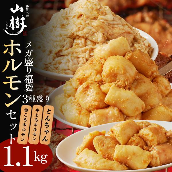 メガ盛りホルモンセット 福袋 ホルモン 焼肉 国産 総重量1.1kg 牛とろホルモン300g 白ころホルモン300g とんちゃん500g 焼肉用 BBQ お取り寄せグルメ 送料無料