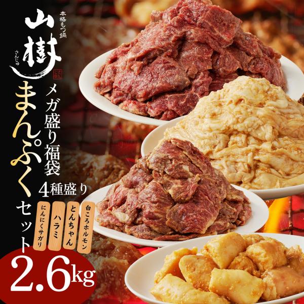メガ盛りまんぷくセット 焼肉 4種 国産 総重量2.6kg はらみ500g にんにくサガリ1000g 白ころホルモン300g×2 とんちゃん500g BBQ 味付 冬グルメ 送料無料
