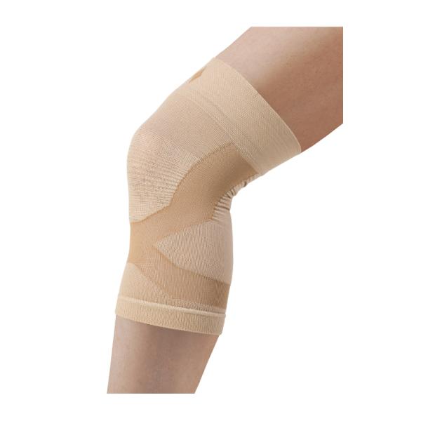 e[sOЂT|[^[ x[W 2 g - TCYNu