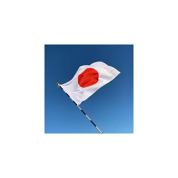  { CZbgiegfށF70×105cmEg|[F36ij 11760 1Zbg