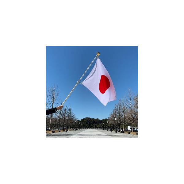  { DXZbg iegfށF70×105cmEyʃA~|[tj 13460 1Zbg