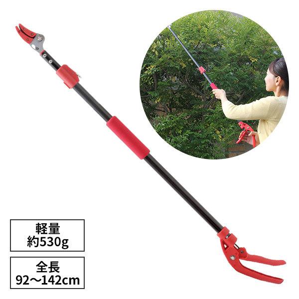 SgE 傤ǃCC} 879834 1