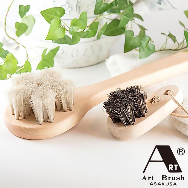 󑐃A[guV A[guṼoX^CZbg B000049 1Zbgi2F2×e1j