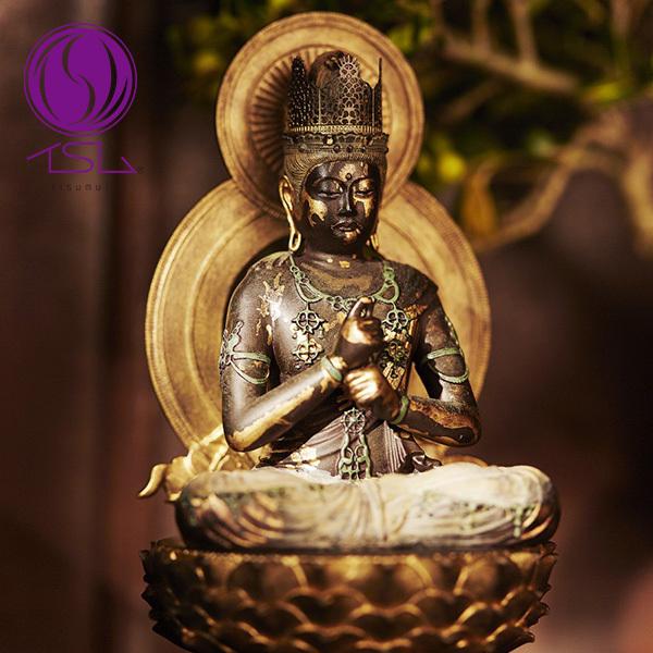 MORITA CX TanaCOCOROuv@ TC3521 1