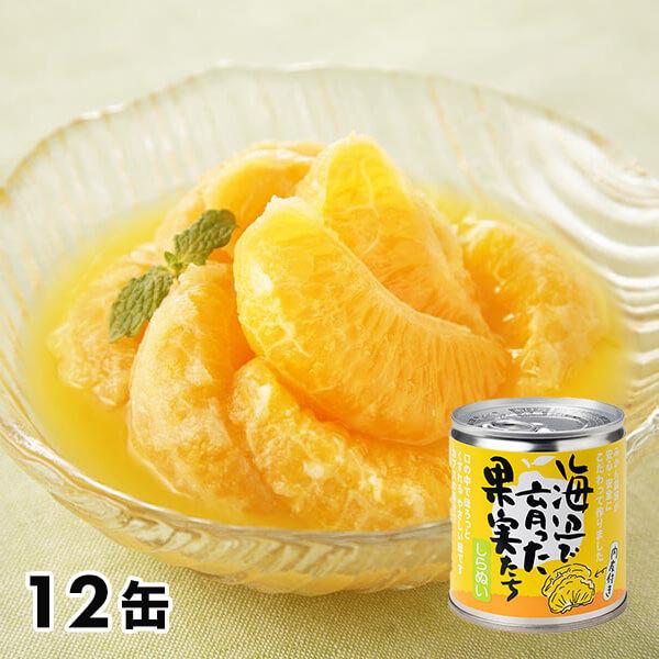 いのうえ果樹園 海辺で育った果実たち しらぬい缶詰 12缶セット 6N231