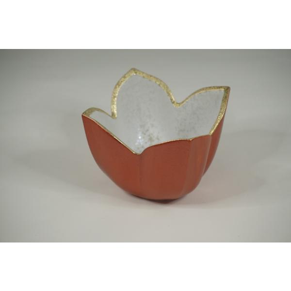 уX^[_韺@؍@Lcā@{@@t@aH