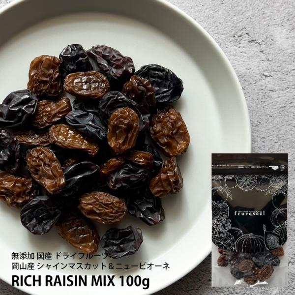 リッチ レーズン ミックス 100g ドライフルーツ 砂糖不使用 無添加 国産 シャインマスカット ニューピオーネ ノンオイル 岡山県産