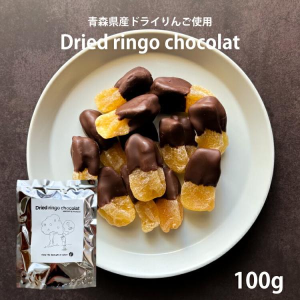 リンゴ ドライフルーツ 国産 ドライ りんご ショコラ 100g チョコ トッピング 専門店 おすすめ 人気 健康効果 食物繊維