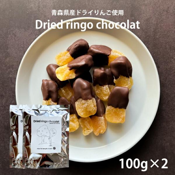 リンゴ ドライフルーツ 国産 ドライ りんご ショコラ 100g×2袋 チョコ