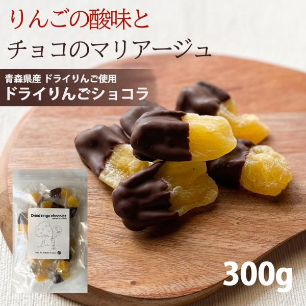 リンゴ ドライフルーツ 国産 ドライ りんご ショコラ 300g チョコ トッピング 専門店 おすすめ 人気 健康効果 食物繊維