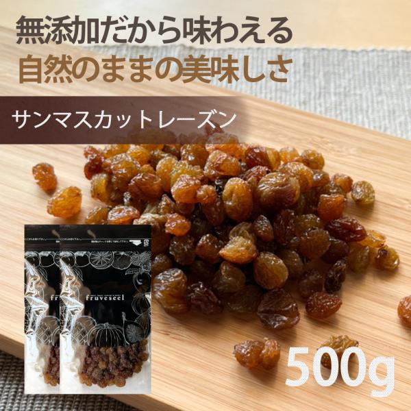 レーズン ドライフルーツ 砂糖不使用 サンマスカット レーズン 500g（250g×2袋）  無添加 専門店 おすすめ ダイエット 人気 ヨーグルト 健康効果 食物繊維