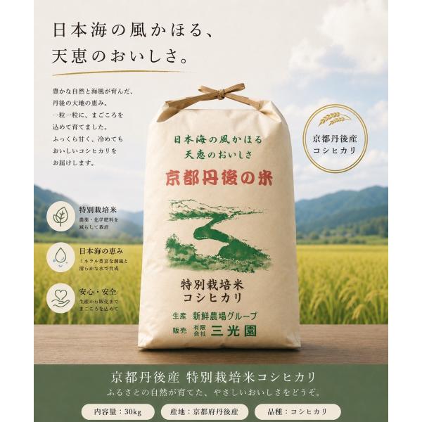 令和８年産新米 コシヒカリ玄米30kg 一等米 特別栽培米 送料無料