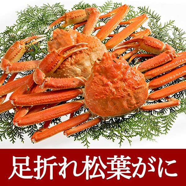 ボイル 松葉がに 松葉蟹 足折れ 1本 950g前後 1匹 ご自宅向け Boil Matsuba 950 Ore 日本海 鮮魚とカニの店 三光水産 通販 Yahoo ショッピング