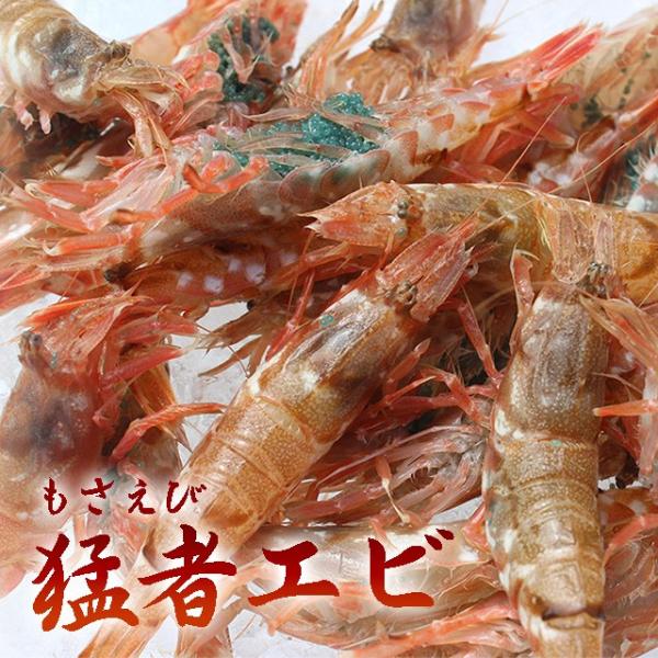 日本海の美味近海産モサ海老300g 匹前後 Buyee 日本代购平台 产品购物网站大全 Buyee一站式代购bot Online