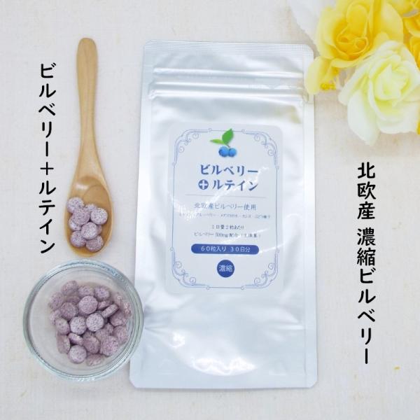 ビルベリー + ルテイン 60粒入 1ヶ月分 2粒にビルベリー 500mg ルテイン 9mg配合 ブルーベリー マリーゴールドメグスリの木 カシスエキス