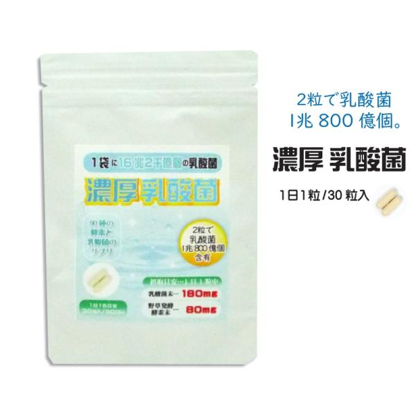 乳酸菌+酵素 30カプセル　2粒で1兆個の乳酸菌配合　一袋に16兆2千億個の乳酸菌を配合　一粒に乳酸菌180mg　野草発酵酵素80mg 乳酸菌の原料はEC-12株