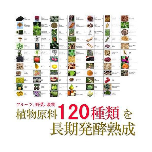 酵素ダイエット 大容量600粒 酵素 野菜 ダイエットサプリ 植物発酵 ランキング 濃縮酵素 サプリメント Buyee Buyee 提供一站式最全面最专业现地yahoo Japan拍卖代bid代拍代购服务 Bot Online