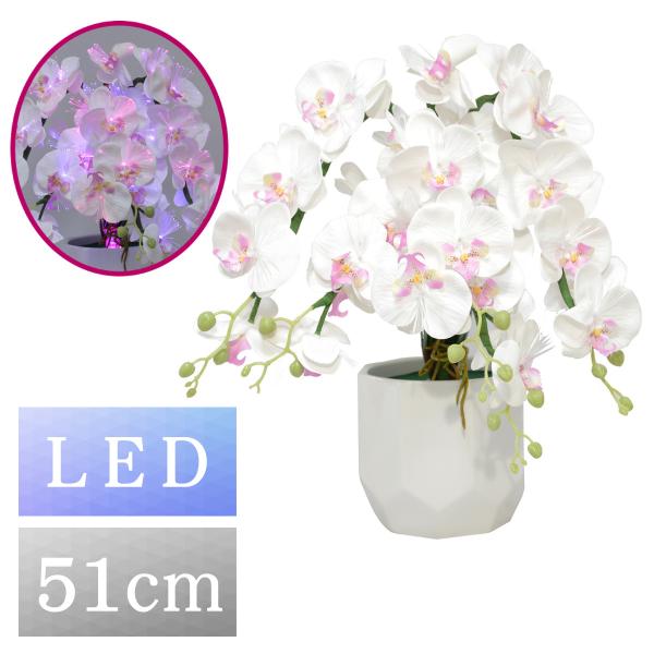 盆提灯 ルミナス灯 グランドルミナスSTD ラージ胡蝶蘭5本立 LED