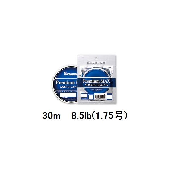 yNbN|XgzV[K[(SEAGUAR) \gQ[ V[K[ v~A}bNXVbN[_[ 30m 8.5lb(1.75)