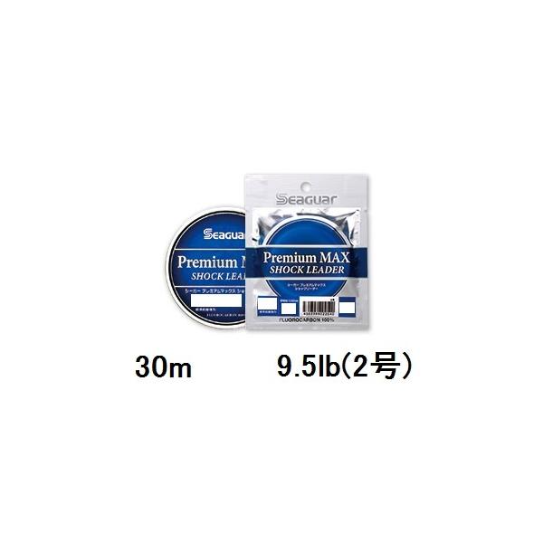 yNbN|XgzV[K[(SEAGUAR) \gQ[ V[K[ v~A}bNXVbN[_[ 30m 9.5lb(2)