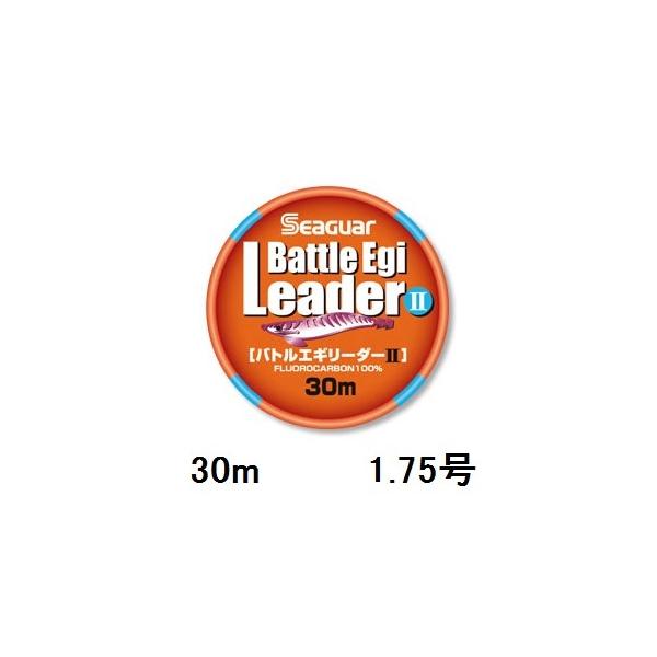 yNbN|XgzV[K[(SEAGUAR) GMO V[K[ ogGM[_[II 30m 1.75