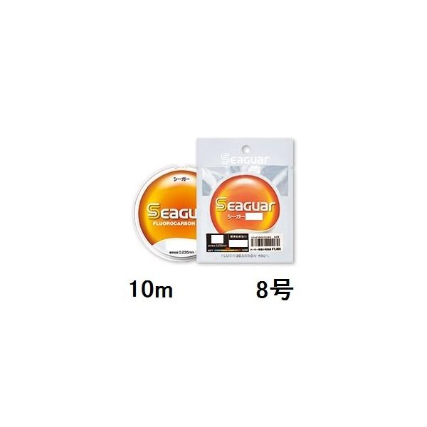 yNbN|XgzV[K[(SEAGUAR) tJ[{nX V[K[ 10m 8