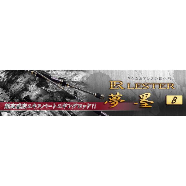 FV(NISSIN)  GMObh@LESTER nB TYPE-S@7f0h/2.13@@iNS2017j