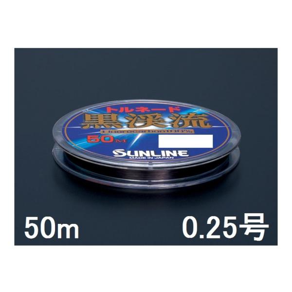 0.25 渓流 フロロカーボン 釣り糸」の人気商品一覧 | 安い商品を