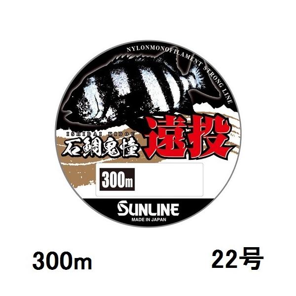 TC(SUNLINE) iCC ΑS  300mP 22