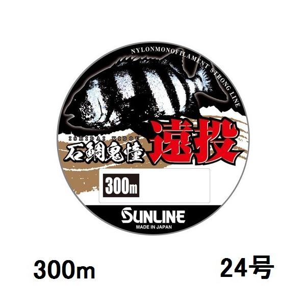 TC(SUNLINE) iCC ΑS  300mP 24