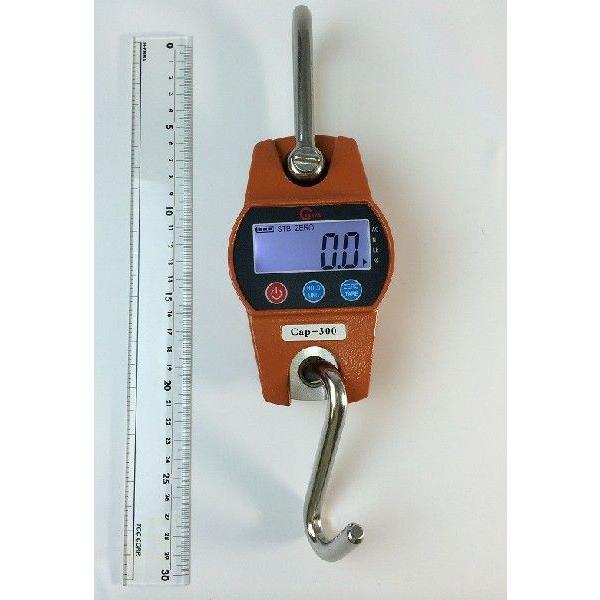 GD200 クレーンスケール握力計 716v3fYStML.jpg_BO30,255,255,